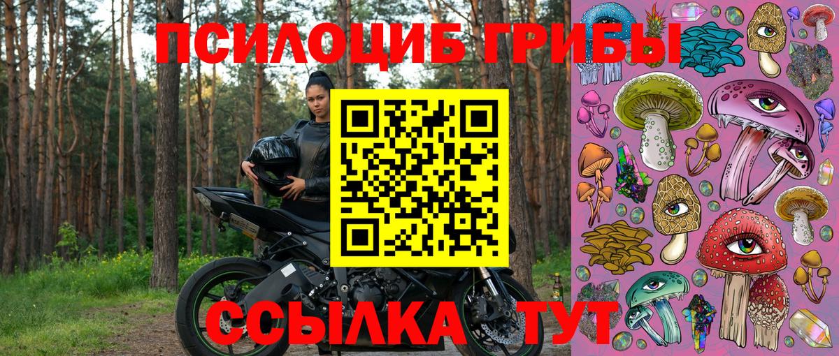 Галлюциногенные грибы GOLDEN TEACHER Скопин