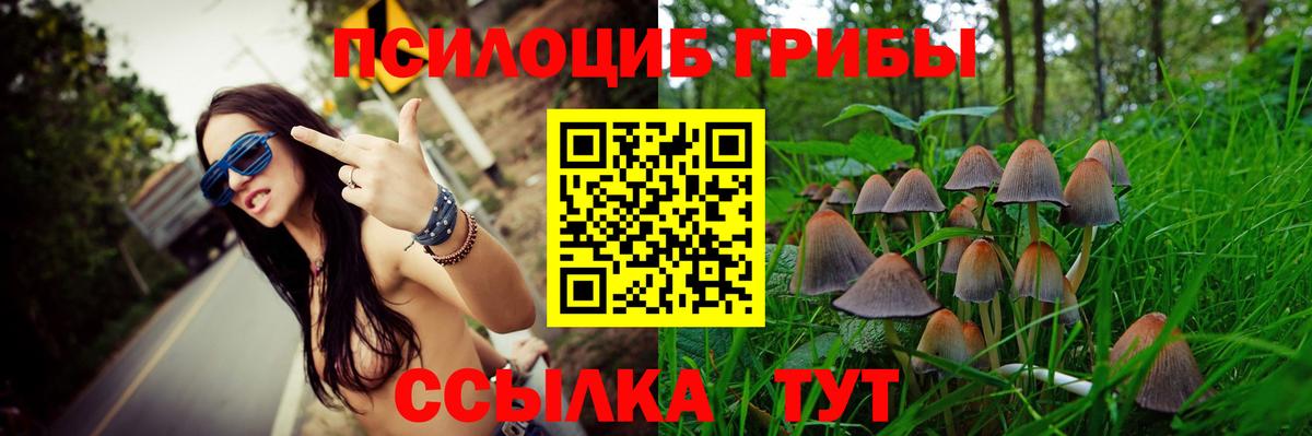 Псилоцибиновые грибы Psilocybe  Вход с VPN  купить наркоту  Скопин 
